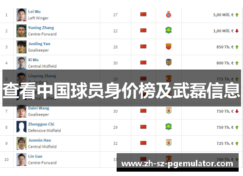 查看中国球员身价榜及武磊信息