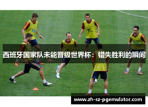 西班牙国家队未能晋级世界杯：错失胜利的瞬间