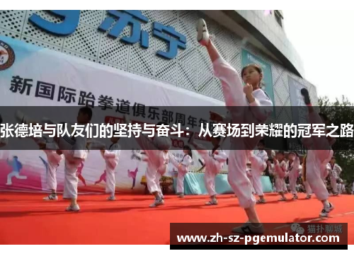 张德培与队友们的坚持与奋斗:从赛场到荣耀的冠军之路 张德培与队友们的坚持与奋斗:从赛场到荣耀的冠军之路