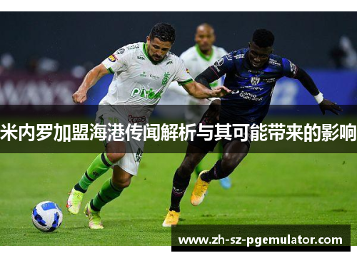 米内罗加盟海港传闻解析与其可能带来的影响