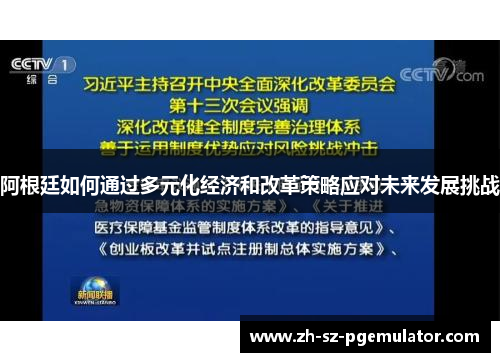 阿根廷如何通过多元化经济和改革策略应对未来发展挑战