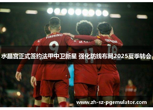 水晶宫正式签约法甲中卫新星 强化防线布局2025夏季转会 水晶宫正式签约法甲中卫新星 强化防线布局2025夏季转会